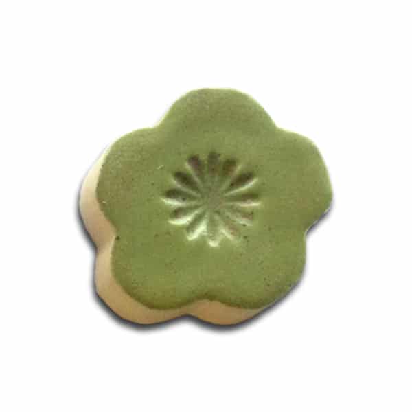 1404 Wasabi Shino Pint