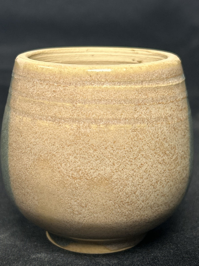 1410 Miso Shino Pint