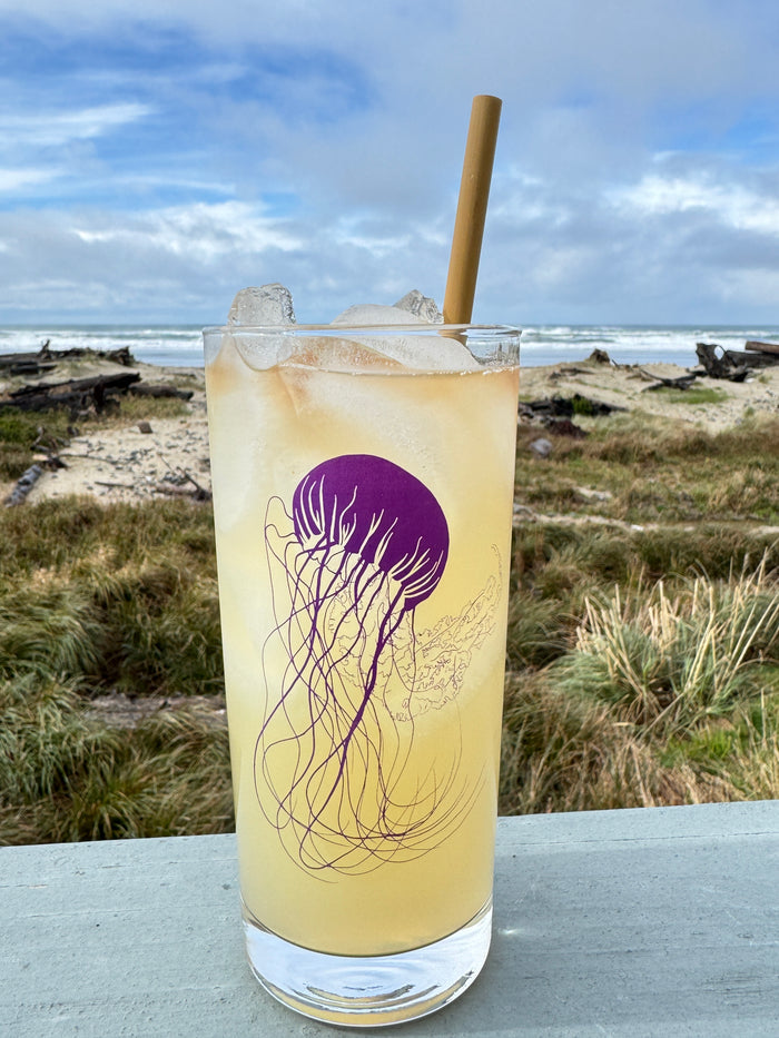 4 Pack Boxed Set Jellyfish Colors Tall Collins Highball Glasses