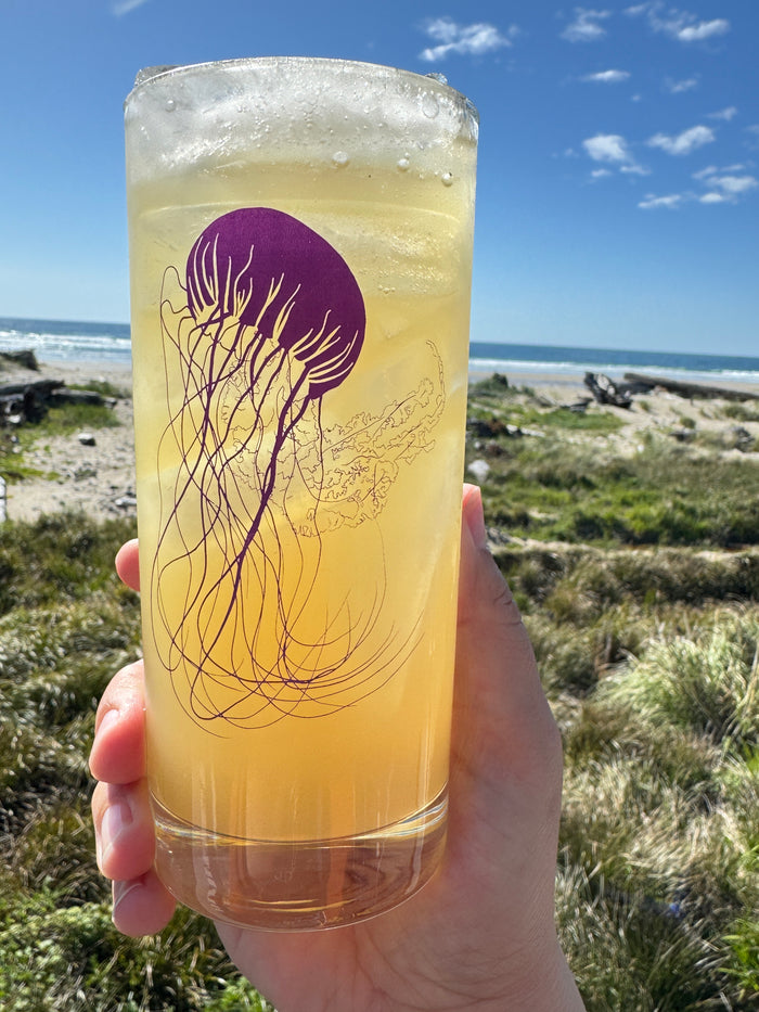 4 Pack Boxed Set Jellyfish Colors Tall Collins Highball Glasses