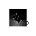 Arooj Aftab: Night Reign Digital Album