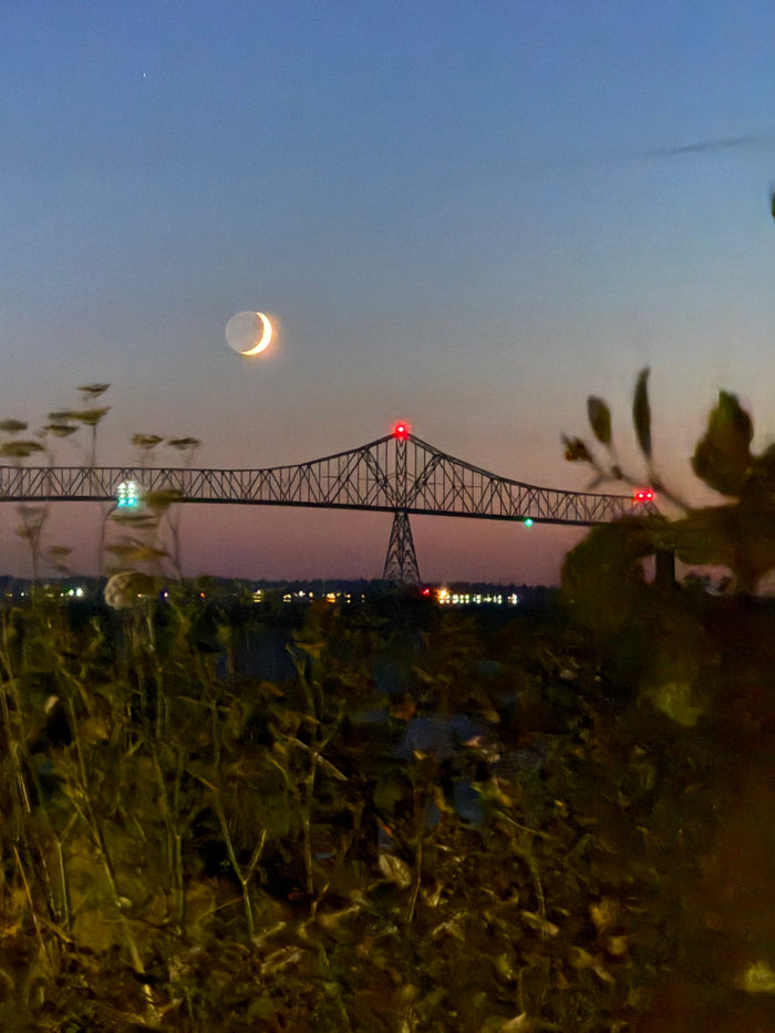 Astoria Through the Branches Bridge & Crescent Moon *Limited Edition* Original Photography Paper Prints & Framed Metal Prints
