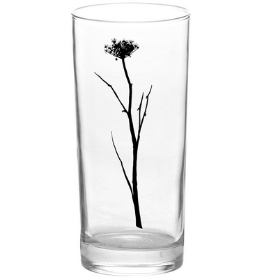 Black Botanica Color Tall Collins Glass - Botanical Series