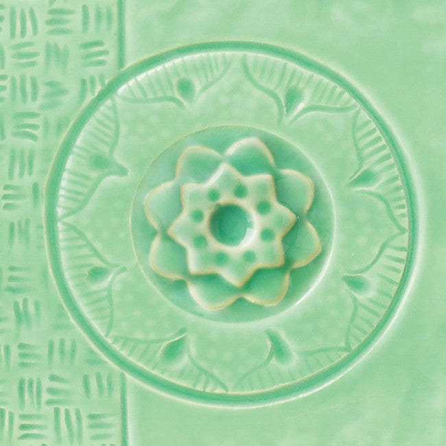 C-24 Succulent