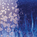 CO-24 Blue Starlight