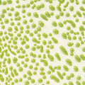 CR-41 Lime
