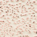 CR-51 Speckled Pink
