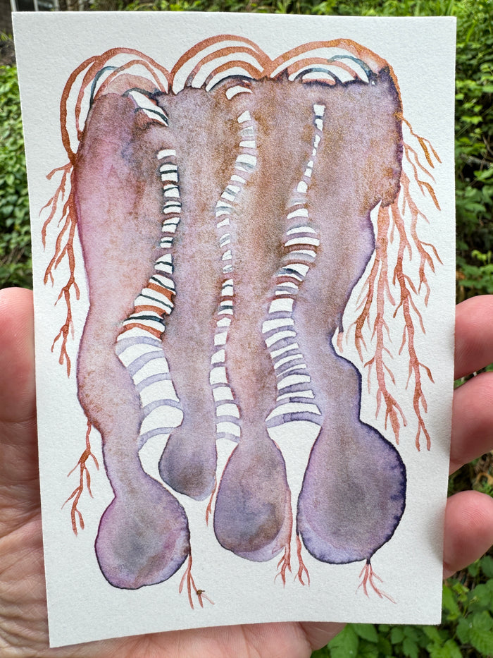 Edgar the Jellyfish  8x10  - Original Watercolor Paintings By Seasons Kaz Sparks