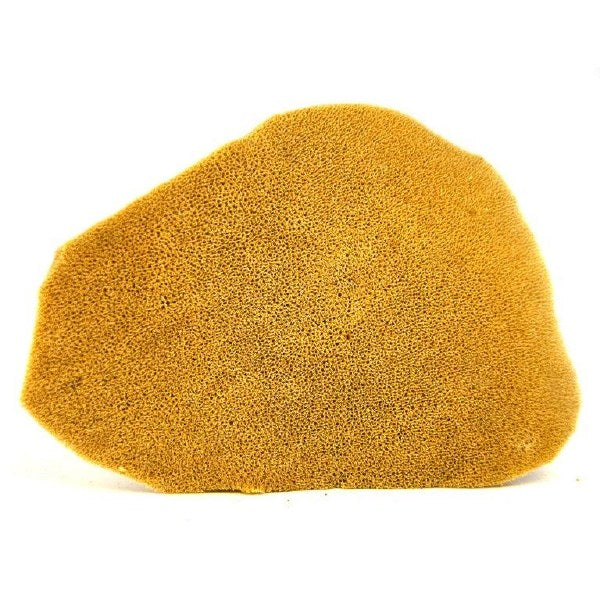 Elephant Ear Sponge Large