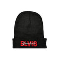 Elvis Graceland Beanie