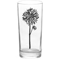 Flowers Dahlia Flower Black Tall Collins Glass
