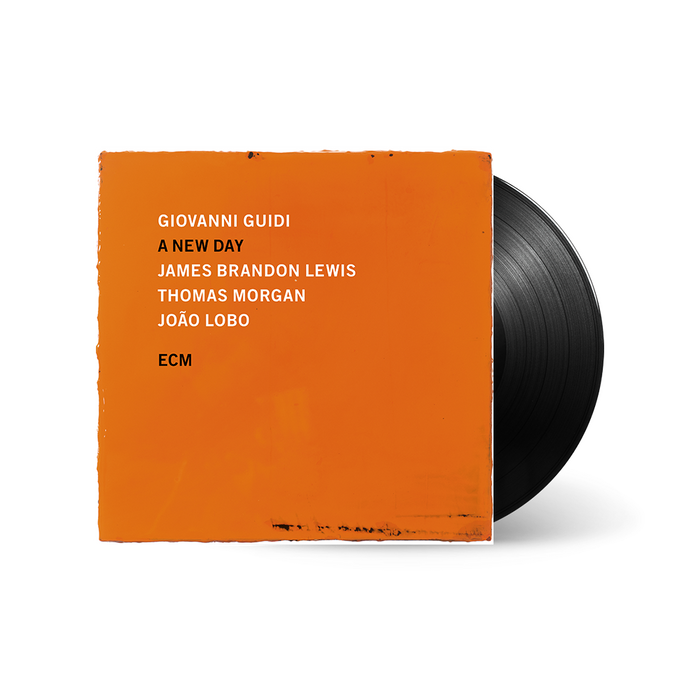 Giovanni Guidi, James Brandon Lewis, Thomas Morgan, João Lobo: A New Day LP