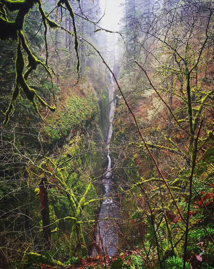 Gorge Waterfall in Fall *Limited Edition* Original Photography Paper Prints & Framed Metal Prints