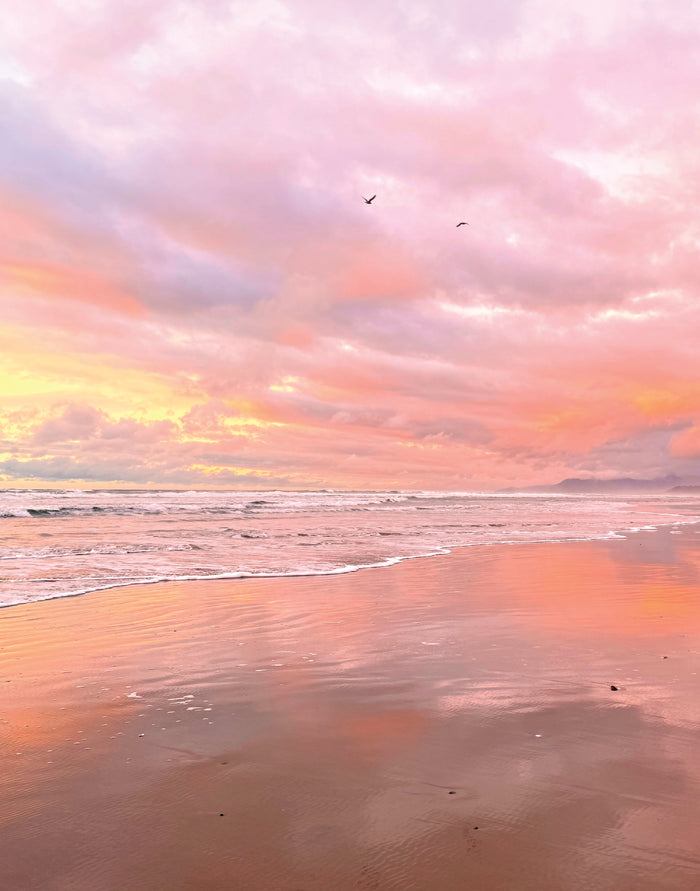 Morning Sunrise Flight Original Photography Paper Prints & Framed Metal Prints