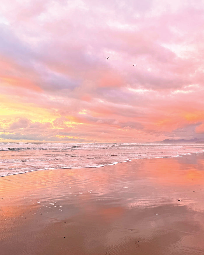 Morning Sunrise Flight Original Photography Paper Prints & Framed Metal Prints