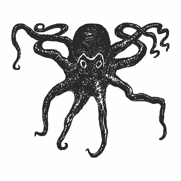 Octopus Kraken T-Shirt - Long Sleeve Unisex Heather Slate and Carolina Blue