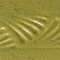 PC-29 Deep Olive Speckle Pint