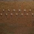 PC-69 Cosmic Gold Dust