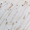 PCF-74 River Birch Pint