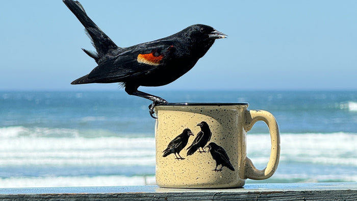 Raven's Chat Sand 15oz Ceramic Campfire Mug