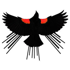 Red Winged Blackbird T-Shirt - Unisex Asphalt