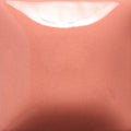 SC002 Stroke N' Coat Melon-choly 8oz