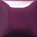 SC013 Stroke N' Coat Grapel 8oz
