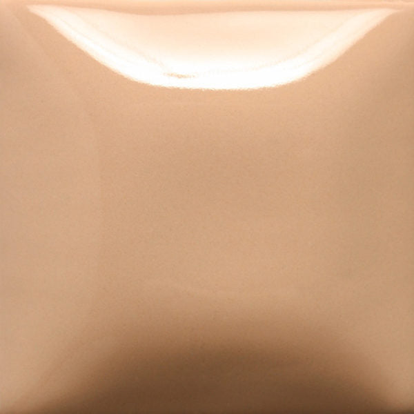 SC020 Stroke N' Coat Cashew Later 8oz