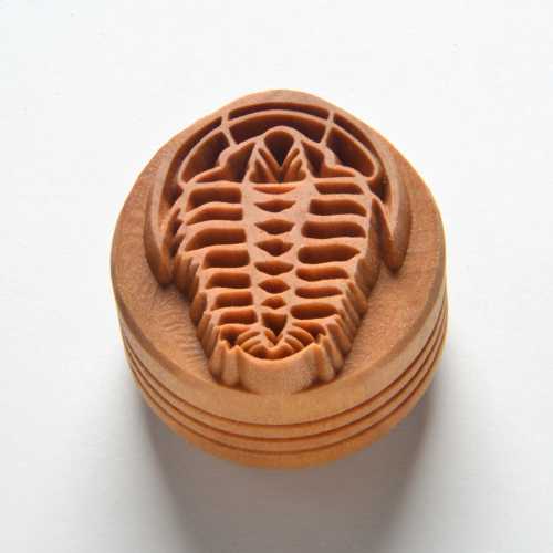 Scl-122 Large Round Stamp Trilobite Fossil