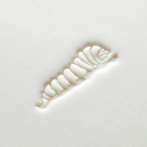 Scl-140 Large Round Stamp Caterpillar