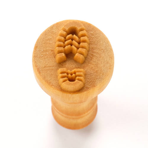 Scm-298  Right Boot Print
