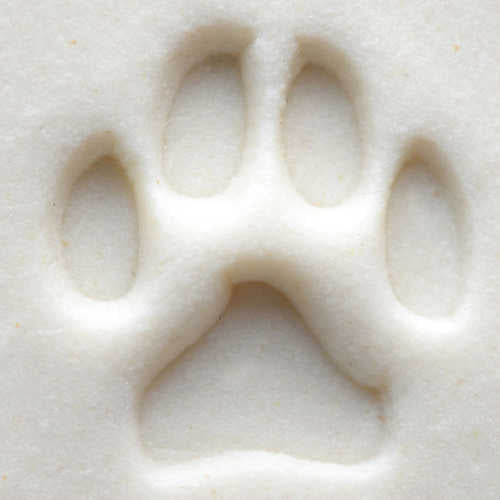 SCS-001 Dog Paw Small Stamp