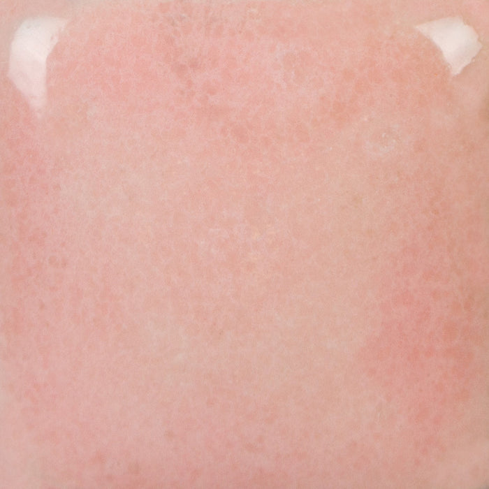 SP201 Stroke N' Coat Speckled Pink-a-Boo 8oz