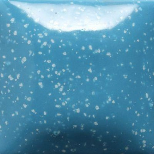 SP211 Stroke N' Coat SPECKLED Blue Yonder Pint
