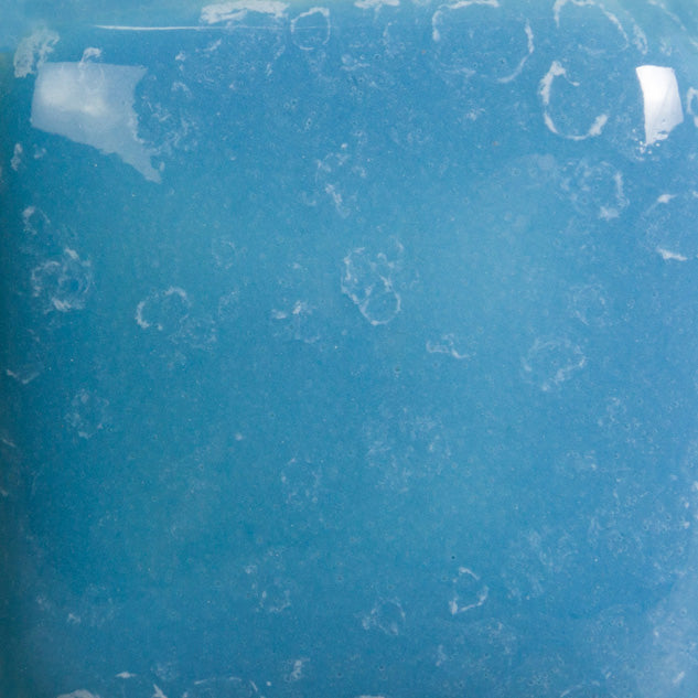 SP211 Stroke N' Coat SPECKLED Blue Yonder Pint