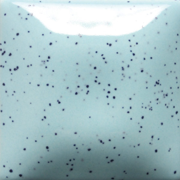 SP245 Stroke N' Coat SPECKLED My Blue Heaven Pint