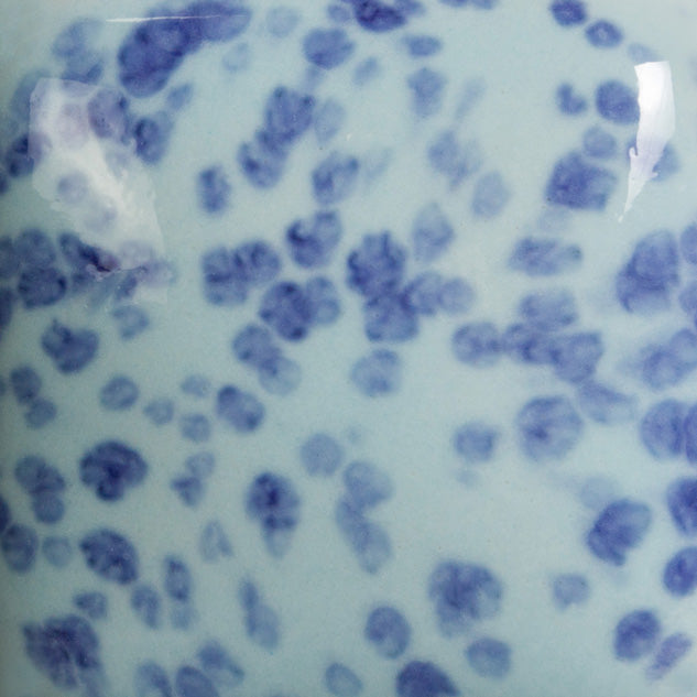 SP245 Stroke N' Coat SPECKLED My Blue Heaven Pint