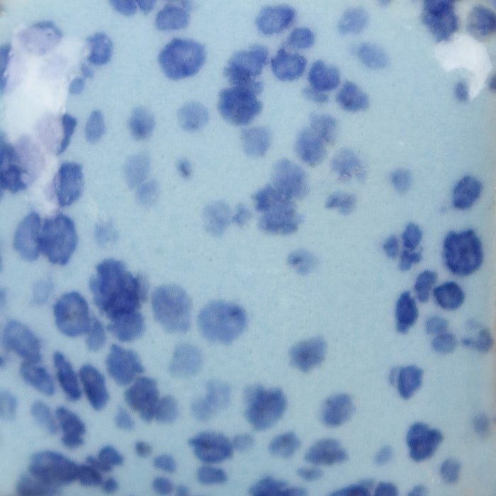 SP245 Stroke N' Coat SPECKLED My Blue Heaven Pint