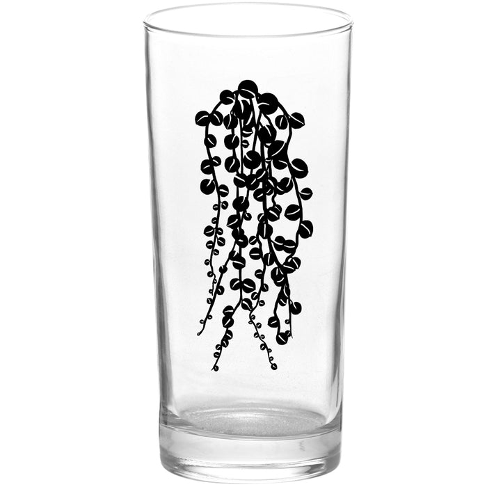 Succulents Succulent Pearls Black Tall Collins Glasses