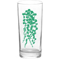Succulents Succulent Pearls Color Green Tall Collins Glasses
