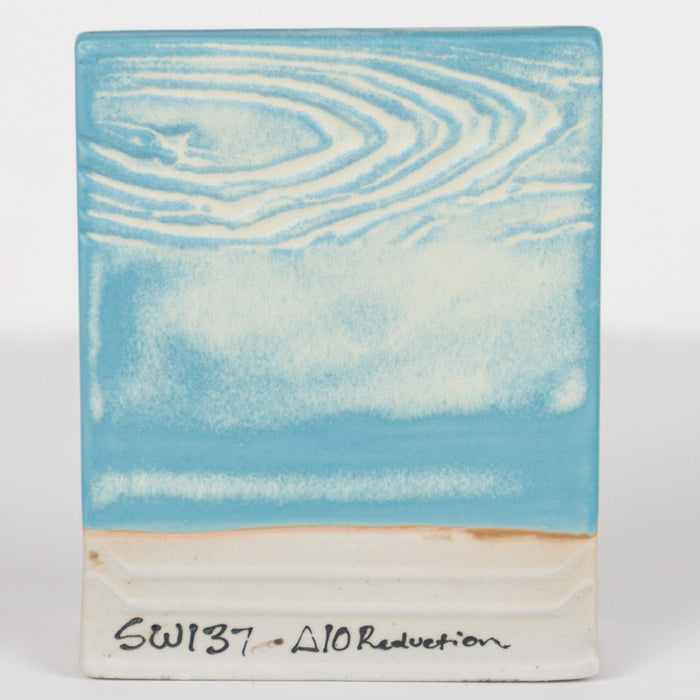 SW137 Storm Gray Pint