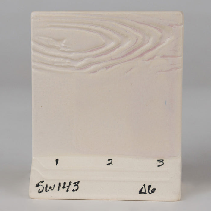 SW143 Abalone Pint