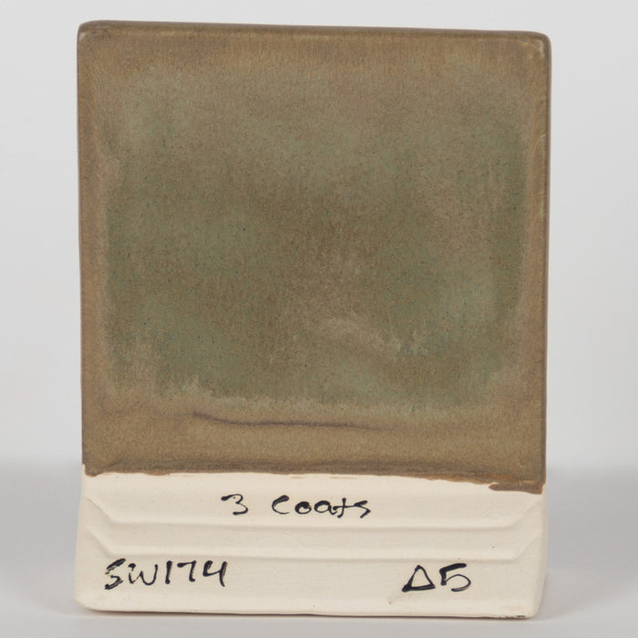 SW174 Leather Pint