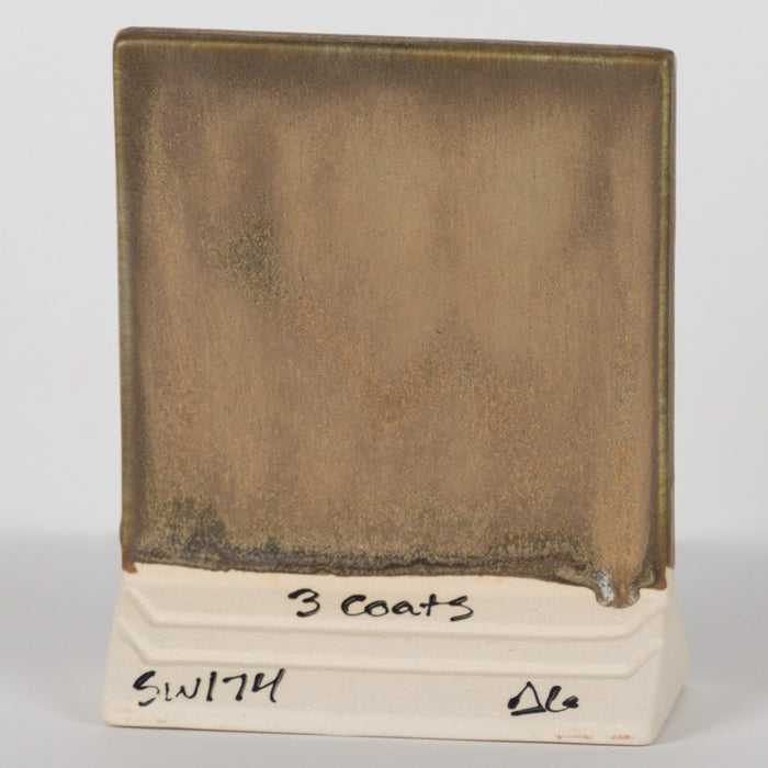 SW174 Leather Pint