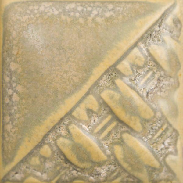SW197 Fossil Rock Pint