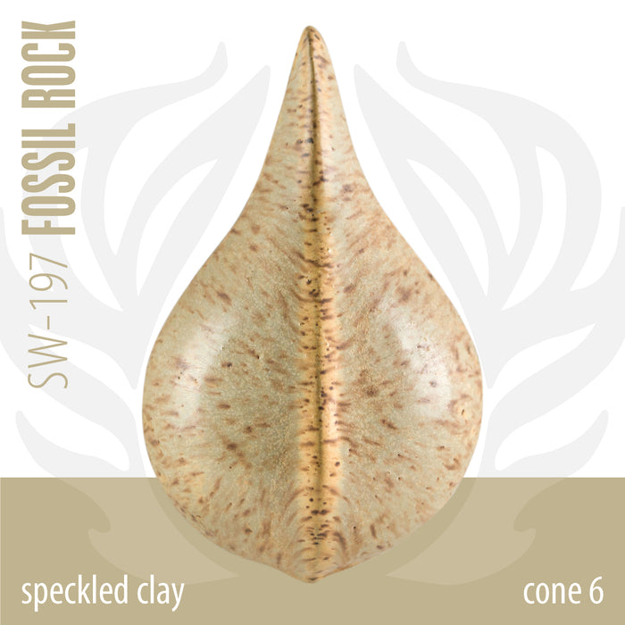 SW197 Fossil Rock Pint