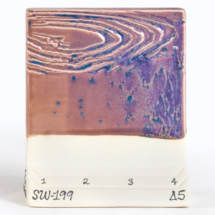 SW199 Purple Aster Pint