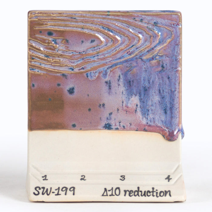 SW199 Purple Aster Pint