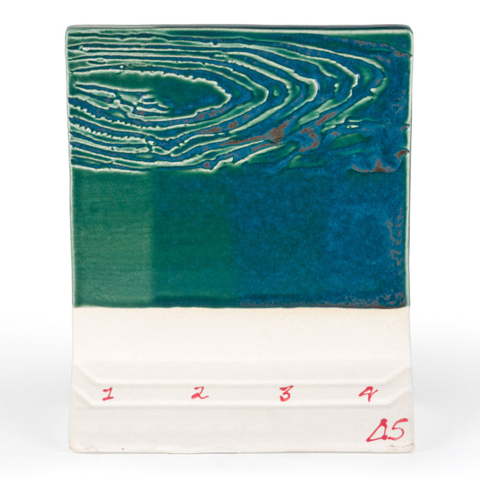 SW224 Tropical Teal Pint