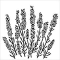 TCW860 Lavender Stencil 6x6